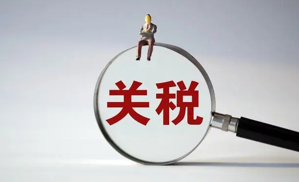 南非將正式對Temu等電商平臺(tái)征收關(guān)稅（南非稅務(wù)局終于出手了）