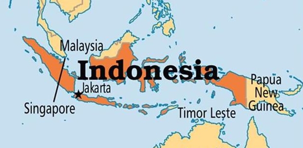 印尼計劃征收消費(fèi)稅的十項商品（印尼政府?dāng)M擴(kuò)大消費(fèi)稅征收商品范圍）